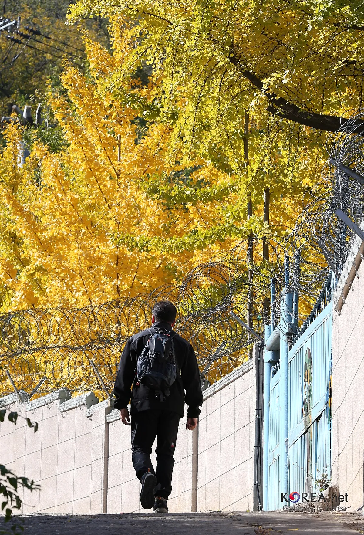 Autumn sketch in Seoul showing trees changing color in November.